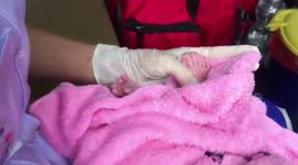 Call the midwife! Baby born with a dozen fingers and toes on Thai roadside
