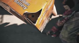 Man adopts female budgie from cramped market in heartwarming video