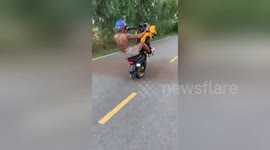 Man performs one-wheeled motorbike wheelie stunt in Bangkok