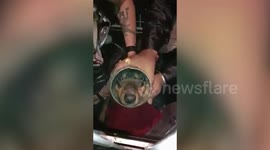 Dog stuck in plastic pipe rushes to nurse her newborn puppies moments after rescue in Mumbai