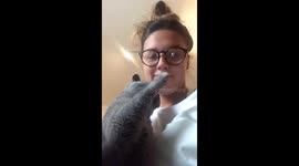 I love you mama super cute cat kisses owner asks for attention