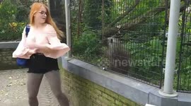 Girl dancing with a porcupine