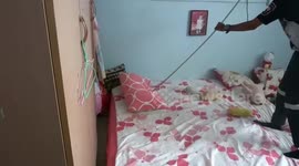 Terrified husband finds 8ft long snake hiding under the bed