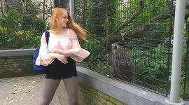 UK woman dances with porcupine not knowing it may suffer from zoochosis