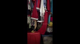 'Creeper cat' caught hiding in Florida woman's closet