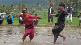 Silek Lanyah, Skill Fighting in Muddy Rice Fields