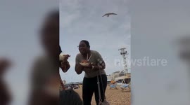 Hilarious moment woman on UK beach was hounded by a flock of dive-bombing seagulls