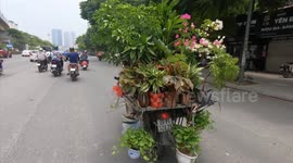 Unique business Motorbikes! People in Vietnam they sell all the goods on motorbikes on the streets