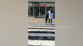 Heartwarming moment loyal dog waits all day long for owner outside Philippines mall