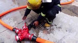 无锡:铁汉柔情 烈火英雄火场救出5只小狗崽 萌化众人!