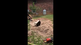 Stump grind