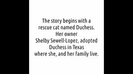 Duchess and Kittens: Real Life Aristocats