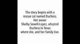 Duchess and Kittens: Real Life Aristocats