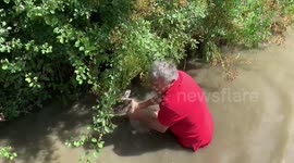 Sheep rescued from canal in central England after heavy rains