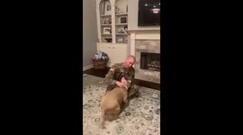Overjoyed pitbull greets US owner after return from one-year deployment