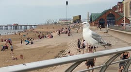 Blackpool Heatwave