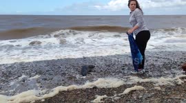 Volunteers rescue seal cub from beach in Lancashire, UK