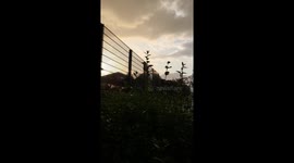 Weather in London