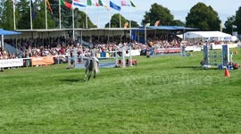 Ride & Drive Challenge at Royal Norfolk Show 2019 2nd Place Lizzy Gray Riding grey Capitol Star 4K