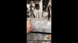 Playing peekaboo with a raccoon