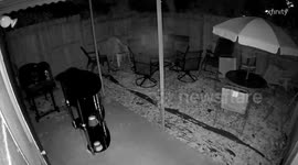 Orb caught hanging out in my backyard
