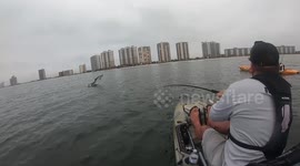 Huge tarpon jumps out of water while kayak fishing