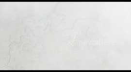 Foggy drone video