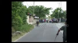 ANIMAL QURBAN NGAMUK, POLICE SHOOT SHOOT