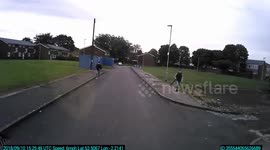 Teenagers attack delivery truck with wooden planks and rocks