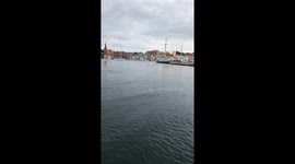 Dolphin juggles with Jellyfish (Video 2)