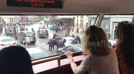 Armed police in London swoop on vehicle in broad daylight arrest