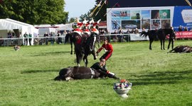 Horse refusing to sit down.Household Cavalry Mounted Regiment  .The show must go on  and you hardly  noticed it