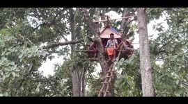 Indian villager forced to live in treehouse after elephants destroy his home