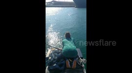 Injured penguin races across South African bay into rescuer's arms