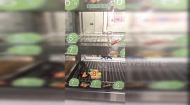 Mouse spotted running inside hot food container in 7-Eleven store in China