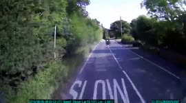 Duck smashes head-on into truck on UK country road