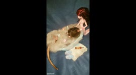 Rat enjoying a bubble bath