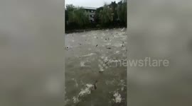 Hundreds of silver carp leap out of lake in China due to typhoon Lekima