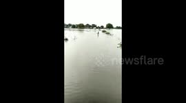 Brave boy guides ambulance by running though flood waters