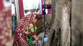 Hug of nature: Indian family builds house around 'sacred' fig tree