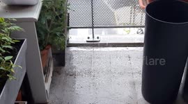 hailstorm by Toulouse