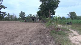 Sssss-weet toothed Thai man with a fridge full of snakes dies after eating a poisonous toad