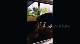 Thousands of bees swarm toll gate after escaping from transport truck in China