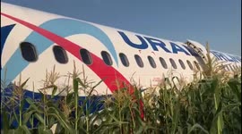 Plane crash-lands in Russian field after hitting flock of birds