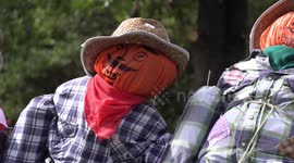 Scenes of Autumn and Halloween together in Meaford Ontario at the annual scarecrow invasion