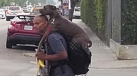 man and his best friend true love venice beach