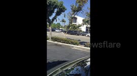 30 cents a gallon gas causes massive traffic pile-up in Los Angeles as part of Amazon TV stunt
