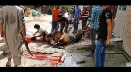 Qurbani in Bangladesh
