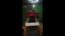 the boy in the paddock failed to break hard bricks with his head