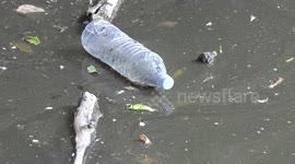 Plastic waste and garbage floating at the mouth of the Don River at Lake Ontario in Toronto Canada
